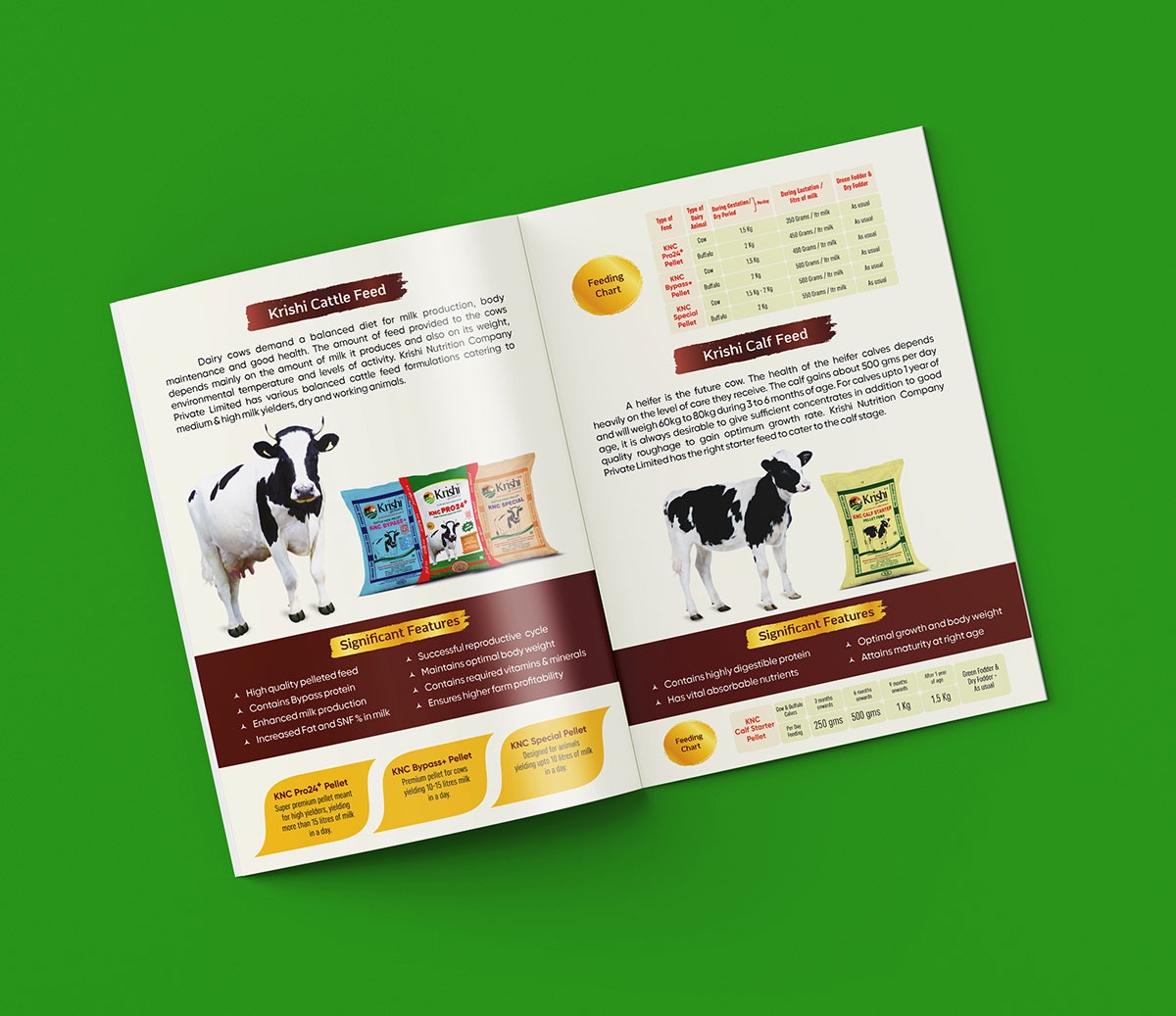 Designpluz Branding Services agency's portfolio